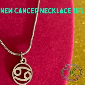 Cancer Zodiac Sign Sterling Silver Necklace Astrology Egirl Witch Goth Jewelry